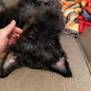 Meet your Posher, Ashlee